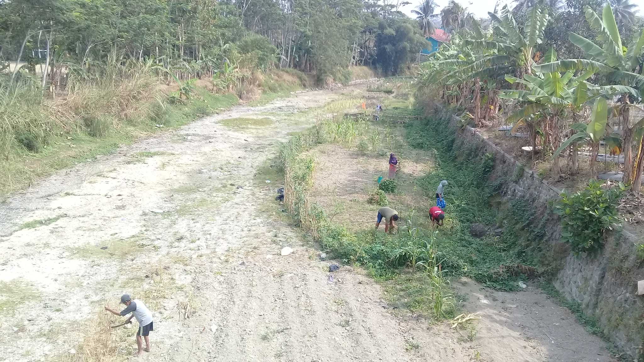 SUNGAI MENGERING: Kondisi Sungai Dermaji di Desa Karangpucung Kecamatan Karangpucung Kabupaten Cilacap mengering, Rabu (18/9). (SB/Akbar Teha)
