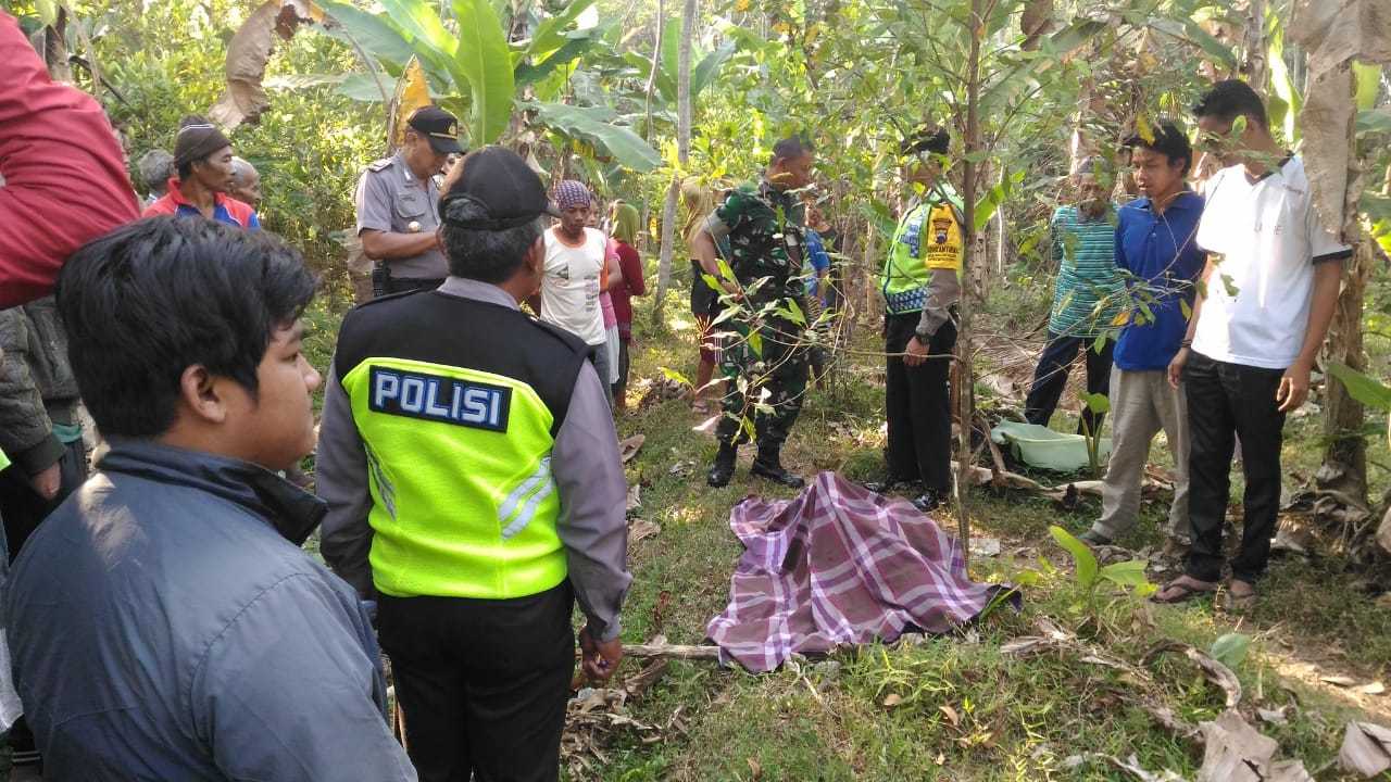 DITEMUKAN TEWAS : Polisi melakukan olah TKP penemuan mayat di kebun warga di Desa Gunungkarang, Kecamatan Bobotsari, Jumat (13/9).  (SB/dok)