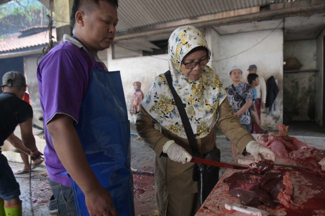 PERIKSA KESEHATAN: Petugas memeriksa kesehatan hati sapi yang dipotong di RPH Purwokerto Barat, beberapa waktu lalu. RPH tersebut termasuk salah satu dari dua RPH yang direncanakan akan ditutup oleh Pemkab Banyumas.