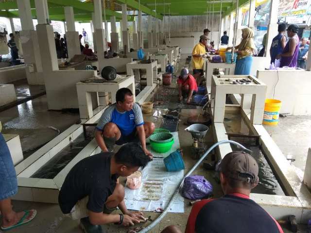 LAYANI PEMBELI: Sejumlah pedagang ikan di Pasar Ikan Minaaji Ajibarang melayani pembeli kemarin.