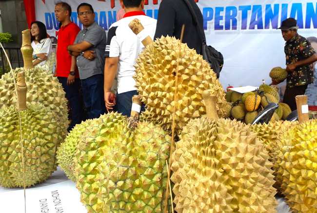 KUNJUNGI STAN : Sejumlah masyarakat dan pejabat pemerintah mengunjungi stan Festival Durian Lokal, di Alun-alun Purwokerto, Sabtu (30/11) lalu.(SB/ Abdul Rohman)