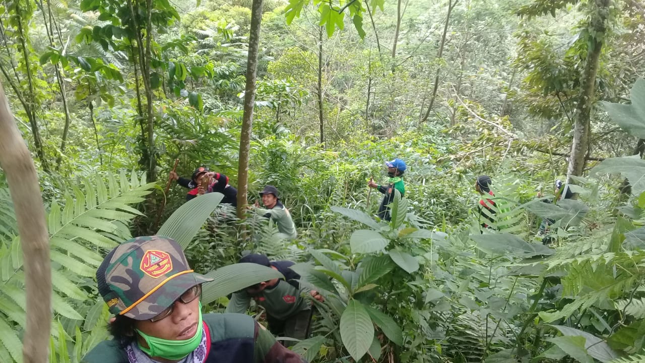 MENCARI KORBAN: Personel Banser Kecamatan Karanglewas menelusuri hutan untuk mencari orang hilang warga Dusun Semaya, Desa Sunyalangu, Kecamatan Karanglewas, kemarin (12/4).