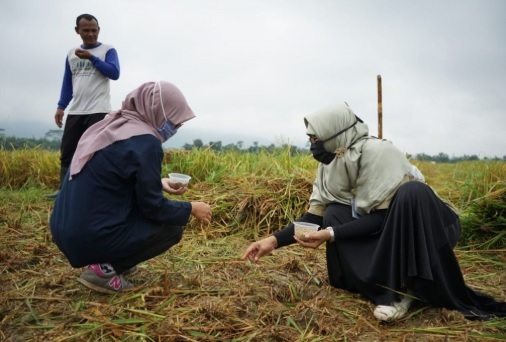 TEKNOLOGI SUPERBODI : Faperta Unsoed Purwokerto bersama petani Desa Wlahar Wetan memperaktikkan secara langsung pola tanam dengan teknologi siperbodi. (dok/Unsoed)