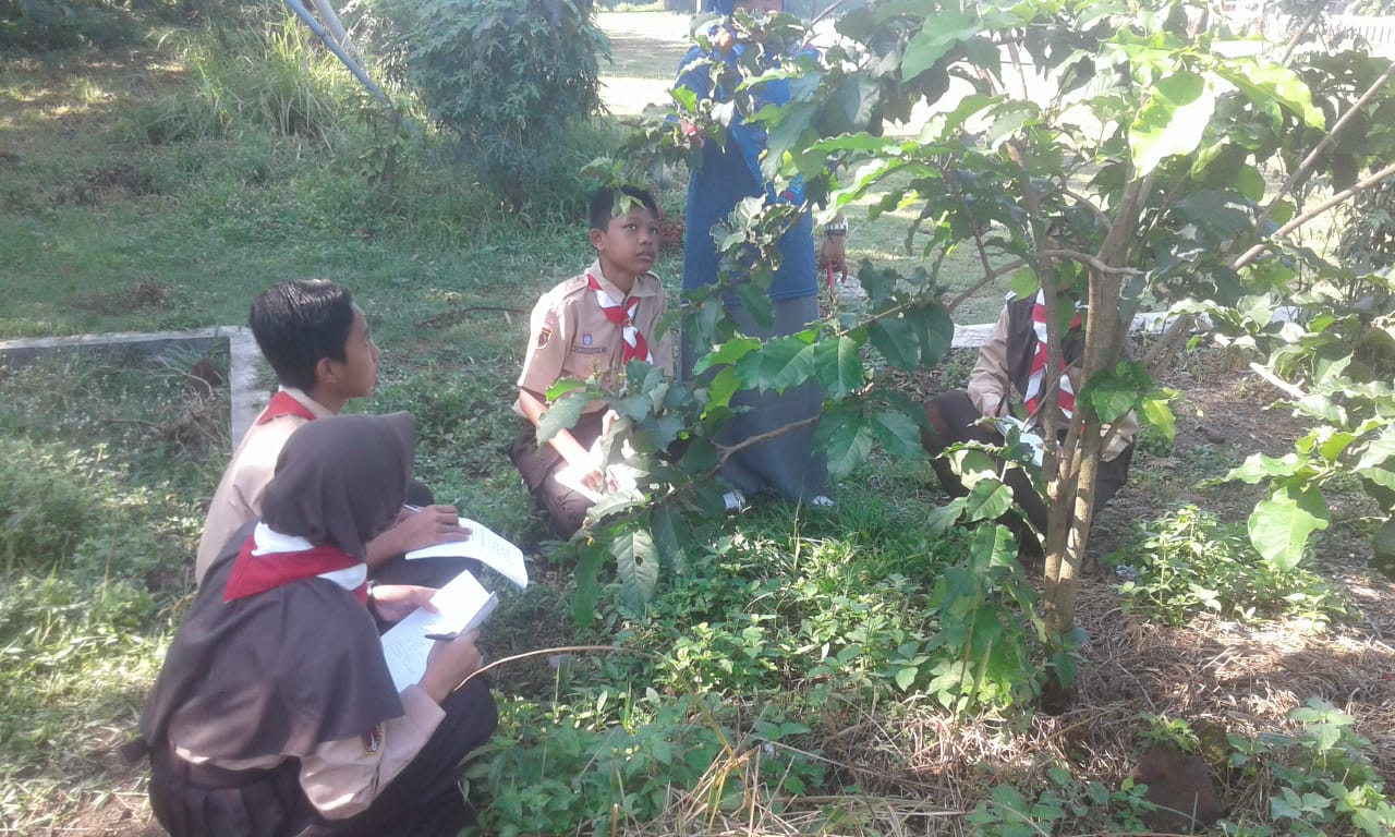 DI LUAR KELAS:Sejumlah siswa di salah satu SMP di Kabupaten Banyumas mengikuti kegiatan pembelajaran di luar kelas. Tahun ini pemerintah mengalokasikan DAK (Dana Alokasi Khusus) untuk jenjang SMP di kabupaten ini senilai Rp 7,4 miliar.(SM/Budi Setyawan)