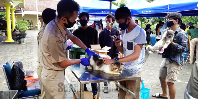 Anjing Konsumsi Berisiko Tularkan Penyakit Rabies - Suara Banyumas