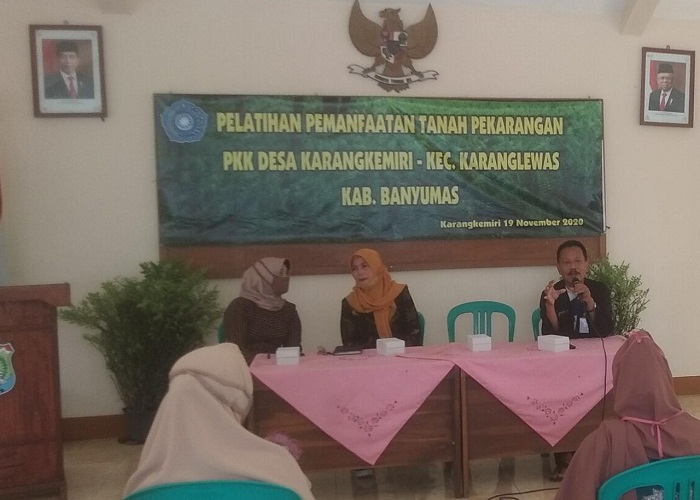 Pemanfaatan lahan pangan dioptimalkan saat pandemi Covid-19