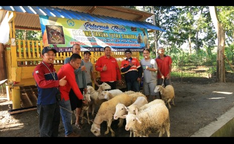 Perusahaan merangsang kreativitas dan produktivitas Karang Taruna untuk menjalankan usaha peternakan kambing.